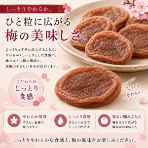 沖縄県産 加工黒糖使用 しっとり 種なし 干し...の詳細画像3