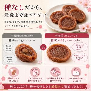 沖縄県産 加工黒糖使用 しっとり 種なし 干し...の詳細画像4
