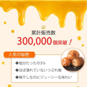 梅干し 訳あり はちみつ梅 1.6kg(400...の詳細画像4