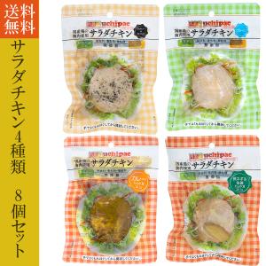 サラダチキン 無添加 常温保存可能 内野家 ウチパク 8個(4種) レトルト 惣菜 保存食｜next1021