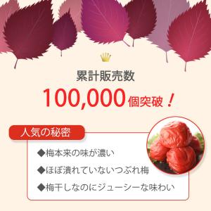 梅干し 塩分10% しそ梅 紀州南高梅 訳あり...の詳細画像3