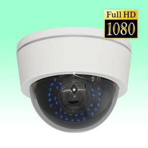 IDIS 防犯・監視機器 フルHD屋外対応ドーム型ネットワークカメラ DC