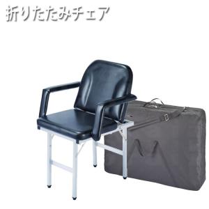 正規品 ルームシャンプー 介護 ガードナー ルームシャンプー専用ブラシ
