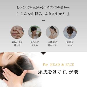 スカルプ ブラシ Pro 電気ブラシ ems ...の詳細画像3