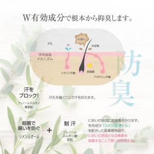 【!お試し価格!】シークレットプラス デオドラ...の詳細画像3