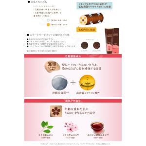 ホーユー レセ カラートリートメント 245g...の詳細画像2