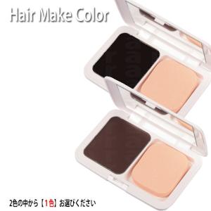 ニューフラワー ヘアメイクカラー 13g 白髪隠しファンデーション(ポスト投函送料無料) (全２色/種類選択あり)（サロン専売品） プレゼント用｜Cosme Jungle