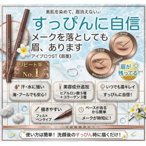 ビナ薬粧 アイブロウ ST セルフタンニング ...の詳細画像1