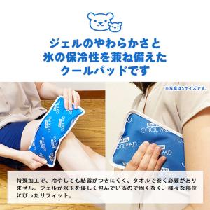 サロフィックス クールパッド Lサイズ 熱中症...の詳細画像1