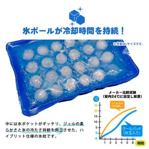 サロフィックス クールパッド Lサイズ 熱中症...の詳細画像2