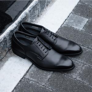 REGAL（リーガル） メンズ ビジネスシューズ ストレートチップ 21FL BF