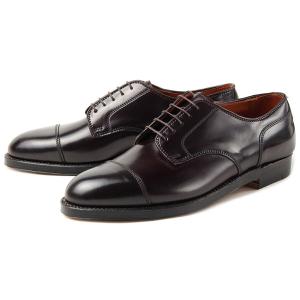 Alden オールデン CORDOVAN STRAIGHT TIP BLUCHER コードバン ストレートチップ ブラッチャー 2160 E ダークバーガンディー｜nextfocus