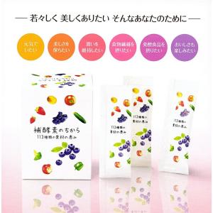 生酵素 ペースト 発酵食品大平酵素 PREMIUM（おおひらこうそプレミアム