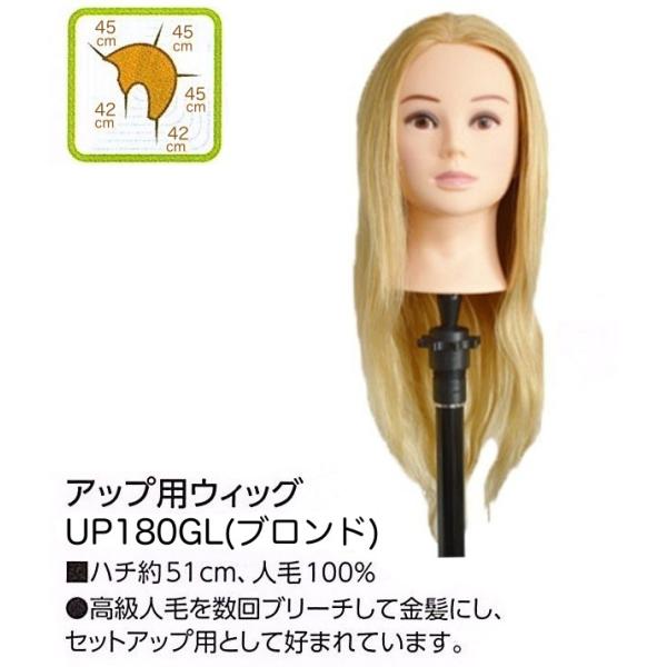 アップ用ウィッグ UP180GL ブロンド 人毛100％ アップ カラー パーマ 基礎練習 カット ...