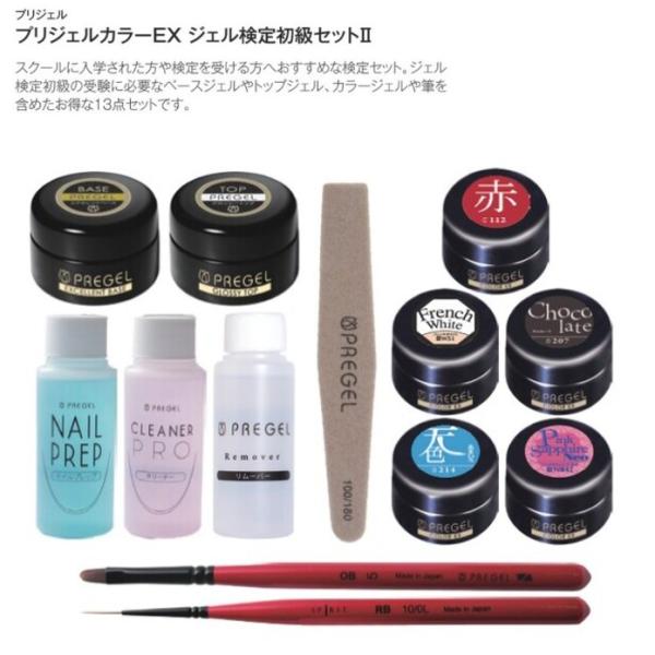 プリジェル カラーEX ジェル検定初級セット3 PREGEL  (PREGEL JNA JNA検定 ...
