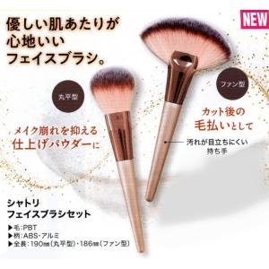 BISYODO ビショウドウ パーフェクトフィットブラシ(扇型) B-F-05