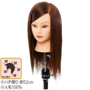 レジーナ EX-7 カットウィッグ ハチ周り 51cm 人毛 100%|カット
