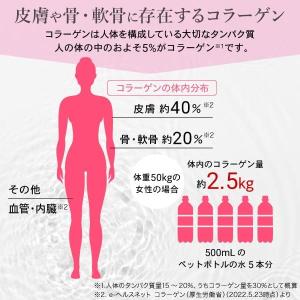 AFC 華舞の食べるコラーゲン120g 豚皮由...の詳細画像2