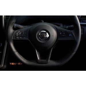 FE13 フロントパネル リアルカーボン 平織/綾織 AURA キュリオスモデル