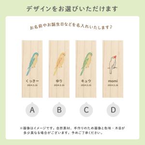 【名入れ無料】鳥の羽根ケース カラフル 羽根 ...の詳細画像2