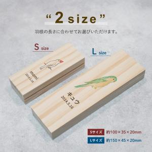 【名入れ無料】鳥の羽根ケース カラフル 羽根 ...の詳細画像3
