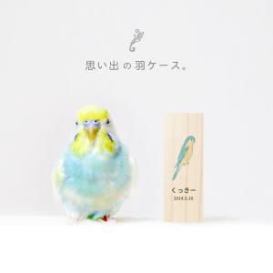 【名入れ無料】鳥の羽根ケース カラフル 羽根 ...の詳細画像5