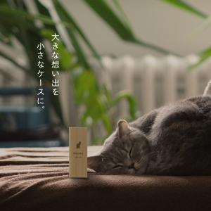 【名入れ無料】猫のひげケース シルエット 木製...の詳細画像4