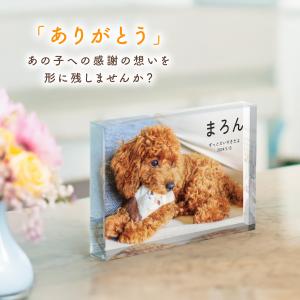 ペット位牌 ガラスブロック インテリア フォト...の詳細画像2