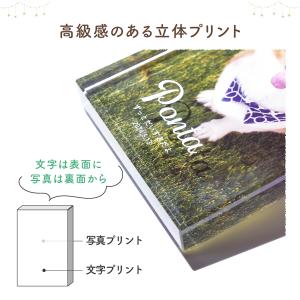 ペット位牌 ガラスブロック インテリア フォト...の詳細画像3