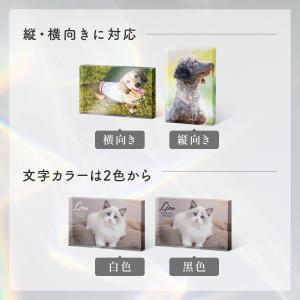 ペット位牌 ガラスブロック インテリア フォト...の詳細画像5