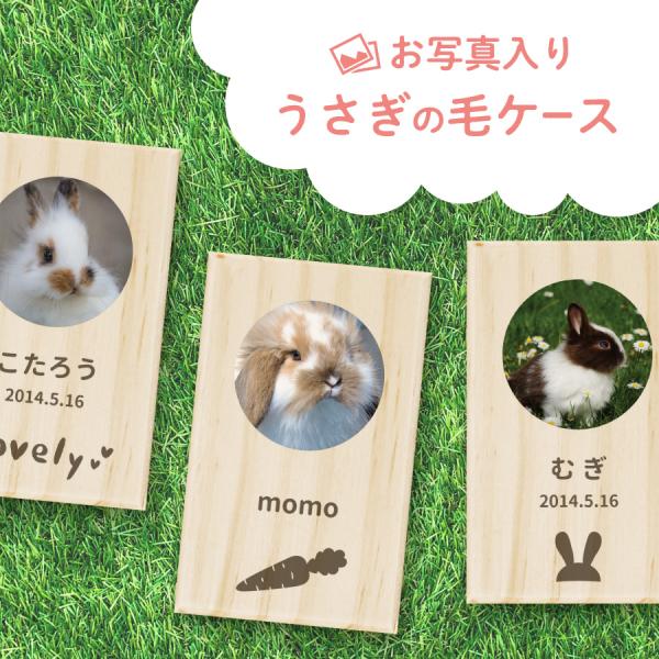 【名入れ無料】うさぎの毛ケース 写真 毛 抜け毛 ウサギ うさぎ 兎 メモリアル ペット お名前入り...