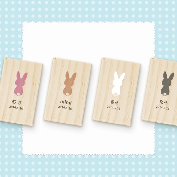 【名入れ無料】うさぎの毛ケース しっぽ 抜け毛 ウサギ うさぎ 兎 メモリアル ペット お名前入り ...