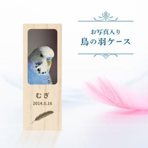 【名入れ無料 メール便 送料無料】鳥の羽根ケース...の商品画像