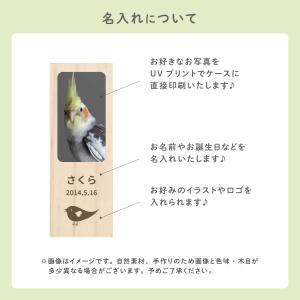 【名入れ無料 メール便 送料無料】鳥の羽根ケー...の詳細画像1