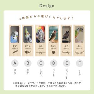 【名入れ無料 メール便 送料無料】鳥の羽根ケー...の詳細画像2