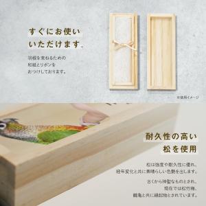 【名入れ無料 メール便 送料無料】鳥の羽根ケー...の詳細画像4