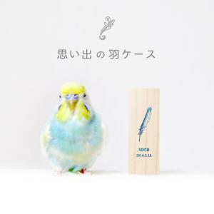 鳥の羽根ケース グラデーション 羽根 はね 鳥 とり インコ