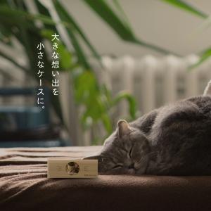 【名入れ無料】 猫のひげ ケース 日本製 木製...の詳細画像5