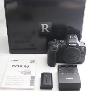 CANON EOS M3 カメラケース カバー バック 一眼 合成革ケース ボッチ