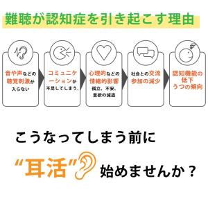 【お得な2台セット】集音器 高齢者 イヤホン型...の詳細画像3