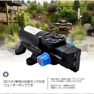 散水ポンプ ウォーターポンプ ポンプ 60W ...の詳細画像2