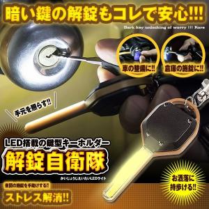 解錠自衛隊 LEDライト 照明 玄関 鍵 施錠 戸締まり 暗闇