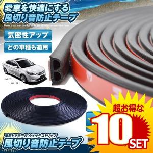 車用 ドアモール 16mタイプ ウェザーストリップ 風切り音防止 テープ 気密性アップ 外装 車載 カー用品 カスタム Shadomol 16 の 10個セット