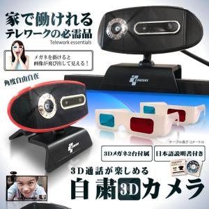 3Dウェブカメラ テレワーク 3D 角度自由 ...の詳細画像1