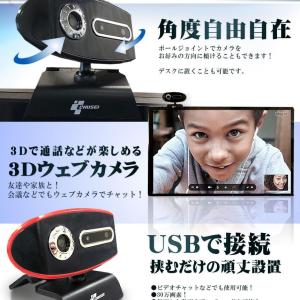 3Dウェブカメラ テレワーク 3D 角度自由 ...の詳細画像2