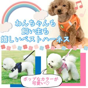 ハーネス 犬 おしゃれ かわいい 胴輪 リード...の詳細画像1