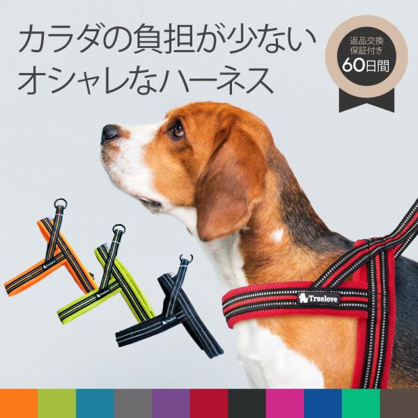 犬 首輪 ハーネス 犬用 おしゃれ 痛くない 軽い ソフトパッド メッシュ 丈夫 イージーウォークカ...