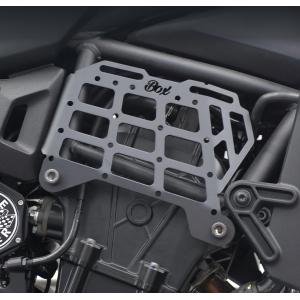 スペシャルパーツ武川 Kawasaki エリミネーター400 ヘッドライトガード