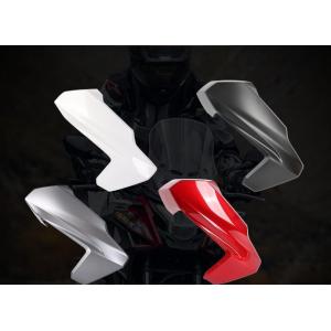 088 SPEEDCARBON アンダーカウル DUCATI空冷汎用(取付ステー付