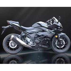 DAYTONA（デイトナ） DAYTONA SUZUKI GSX250R フェンダーレスEDGE